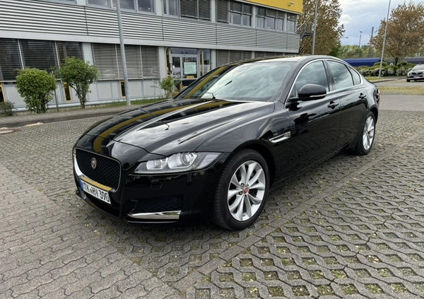 Jaguar XF cena 159900 przebieg: 39500, rok produkcji 2020 z Częstochowa małe 667